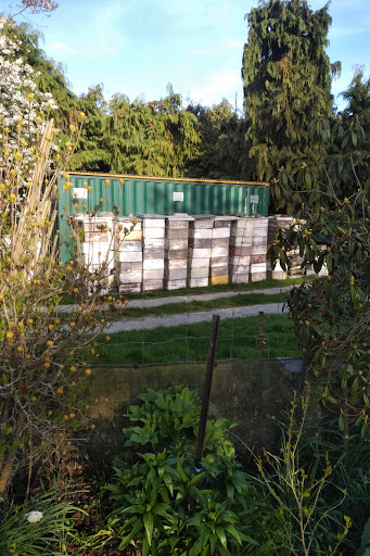 The Honey Corner Shop - Thumbnail