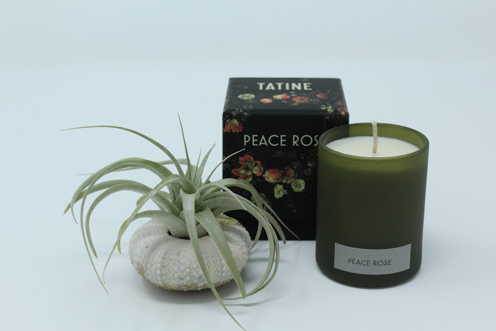 Acorn Eagle Rock by null