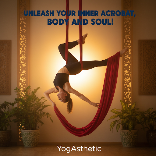 "Experience the thrill of Flight, the serenity of Yoga, and the joy of movement with our Fitness…