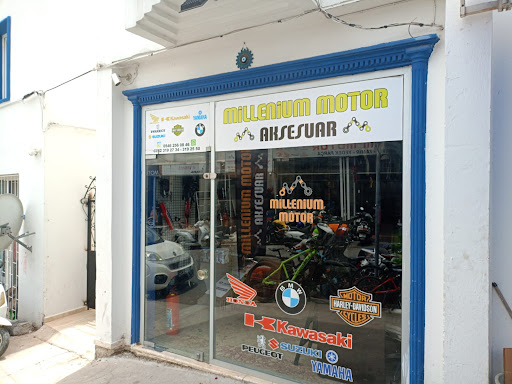 Millenium Motor