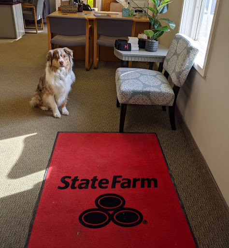 Ryan Nelson - State Farm Insurance Agent - Thumbnail