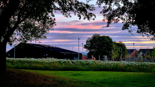 Wishaw South Bowling Club - Thumbnail