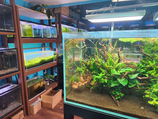 Aqua Nature Tropical Fish & Exotic Pets - Thumbnail