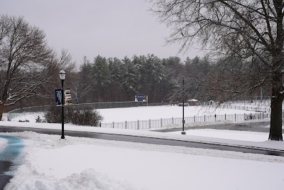 Grappone Stadium