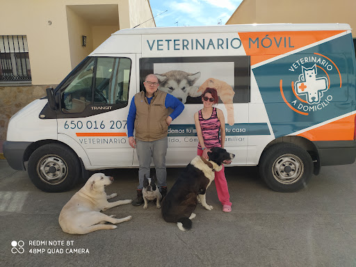 Veterinario A Domicilio