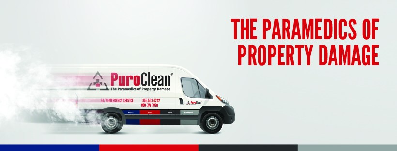 PuroClean of New Port Richey photo