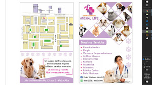 Centro Veterinario Animal Life 5