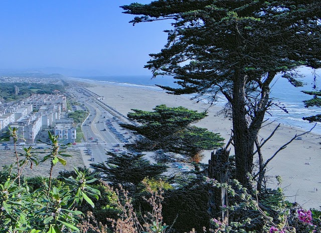 Ocean Beach