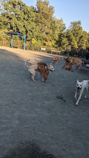 Fairfax City Dog Park - Thumbnail