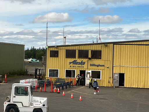 Dillingham Airport (DLG)
