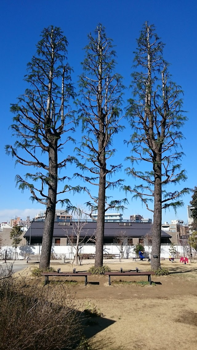 Tomigaya Sanbonsugi Park