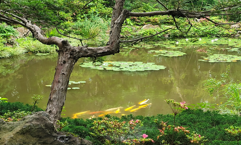 WE Hotel Jeju by null