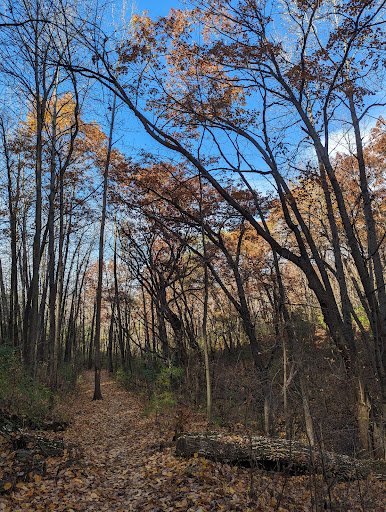 Ice Age Trail: Robertson Trailhead (Lodi-Springfield Rd) Gallery - United States