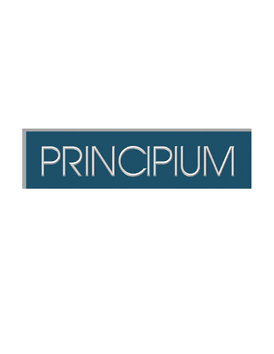 Principium - Visual
