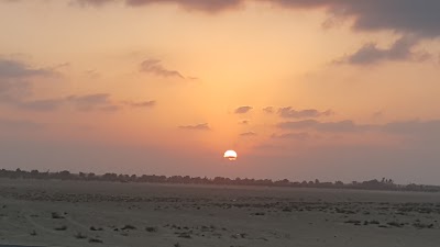Photos of Al Qudra Lake Entrance