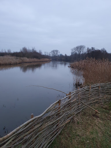 Ossermeer-Bos (Oude Osse zwembad) Gallery - Netherlands