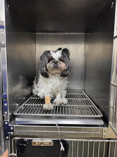 Clinica Veterinaria La 56 - Thumbnail