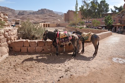 Photos of Temple of Dushares