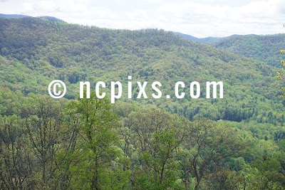 ncpixs.com