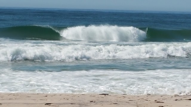 Halsey Neck Beach