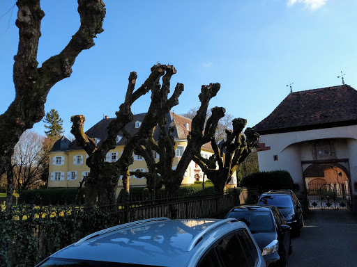 Friseur am Schloss by Lidia Amella - Thumbnail