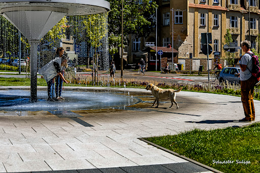 Water Clock - Thumbnail