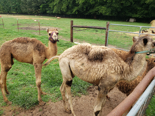 Red Cedar Farms - Thumbnail
