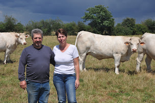 Photo n°2 de Le Boeuf Cellois à La Celle-sur-Loire (Éleveur)