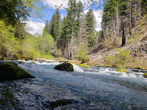 Tamolitch Falls (Blue Pool) - Thumbnail