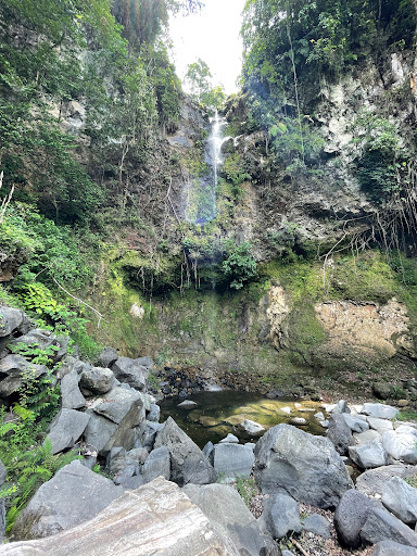Cañón "La Orquídea"