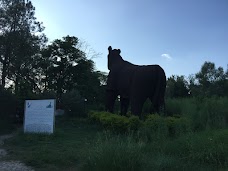 Pakistan Museum of Natural History islamabad Garden Avenue