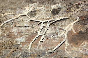 Photo n°5 de SARL Humiditec à Saint-Sauveur-Villages (Entreprise d'étanchéité)