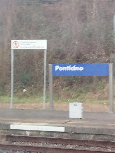 Ponticino