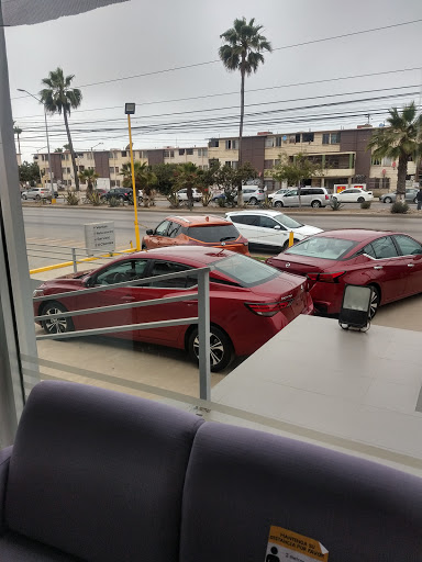 Nissan Ensenada - Thumbnail