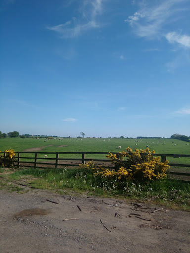 A68 Crossing - Visual