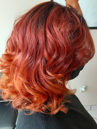 Hair Artist Ali LLC - United States