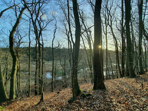 Gieselautal - Thumbnail