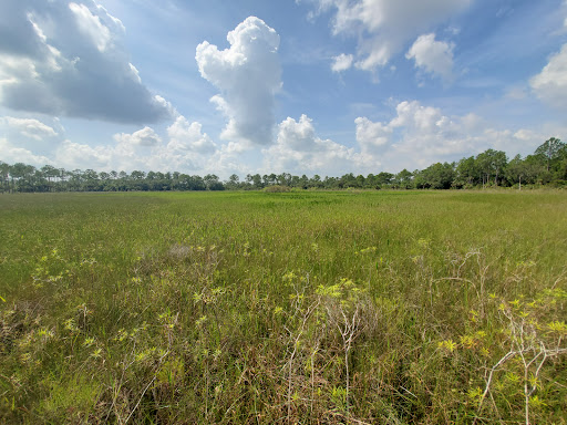 CREW Wildlife and Environmental Area