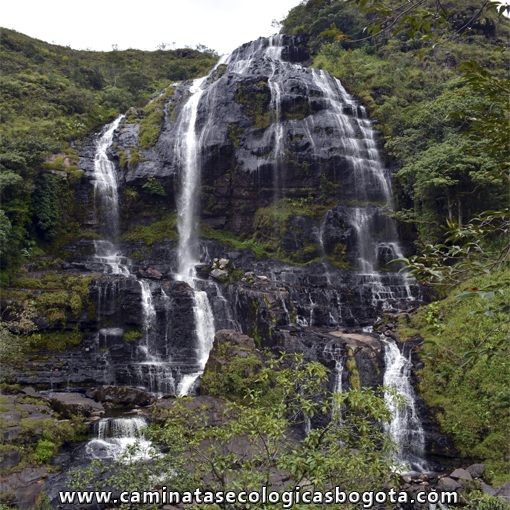 Caminatas Ecológicas Bogotá