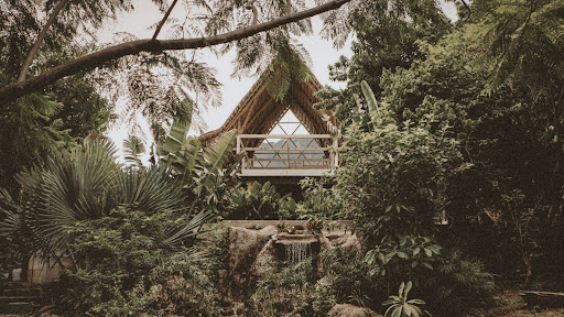 Amate Camp - Visual