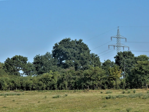 Galgenberg Bingenheim