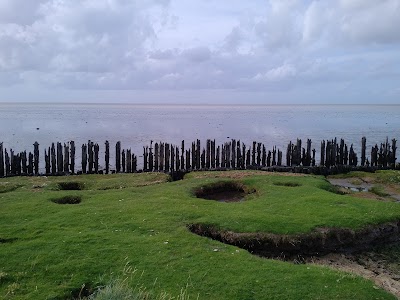 Photos of Stichting Oan 'e dyk