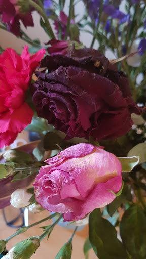 Homeland Florists - Thumbnail