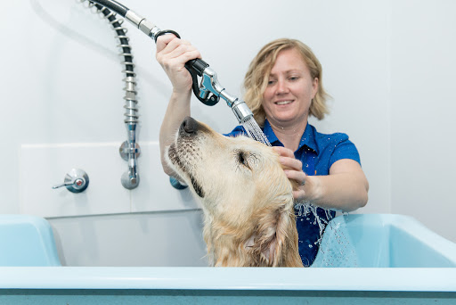 Stephen Terrace Veterinary Clinic Gallery - Australia
