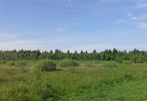 Stiftung Naturschutz Pfrunger-Burgweiler Ried - Thumbnail