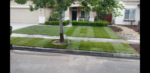 Deckards Landscape - Visual