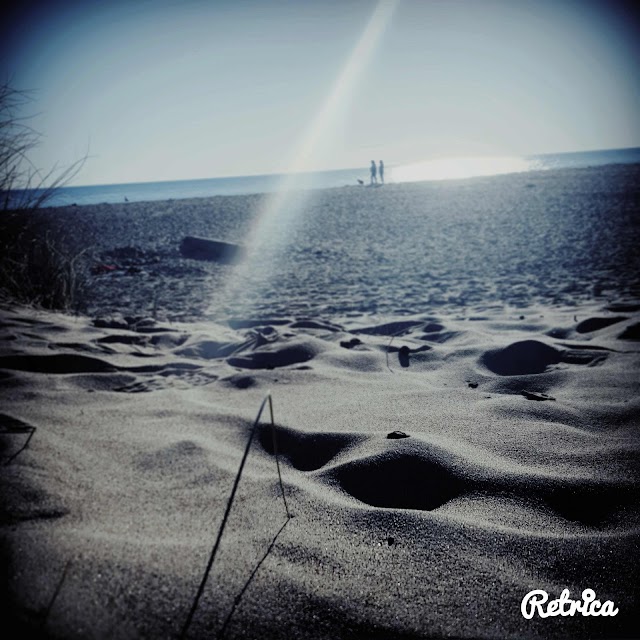 Limantour Beach