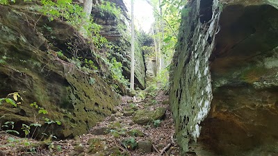 Ferne Clyffe State Park