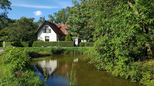 Linschoterbos - Visual