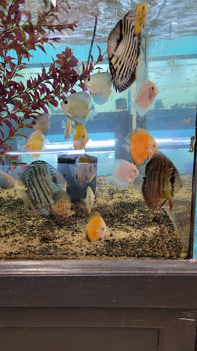Fish Barn - Visual